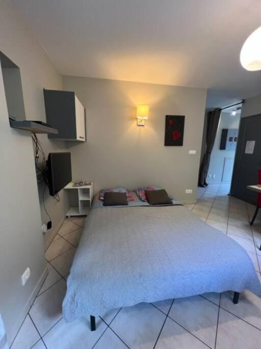 Le Fsi .Confort*Wifi*Parking*Ski - Cure Thermale-Les Lodges De Sandrine Ла-Лешер Экстерьер фото