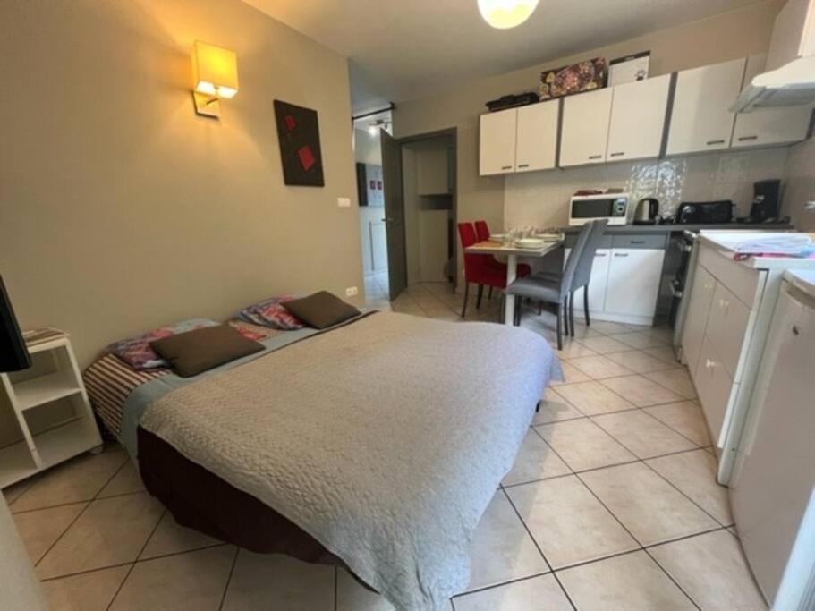 Le Fsi .Confort*Wifi*Parking*Ski - Cure Thermale-Les Lodges De Sandrine Ла-Лешер Экстерьер фото
